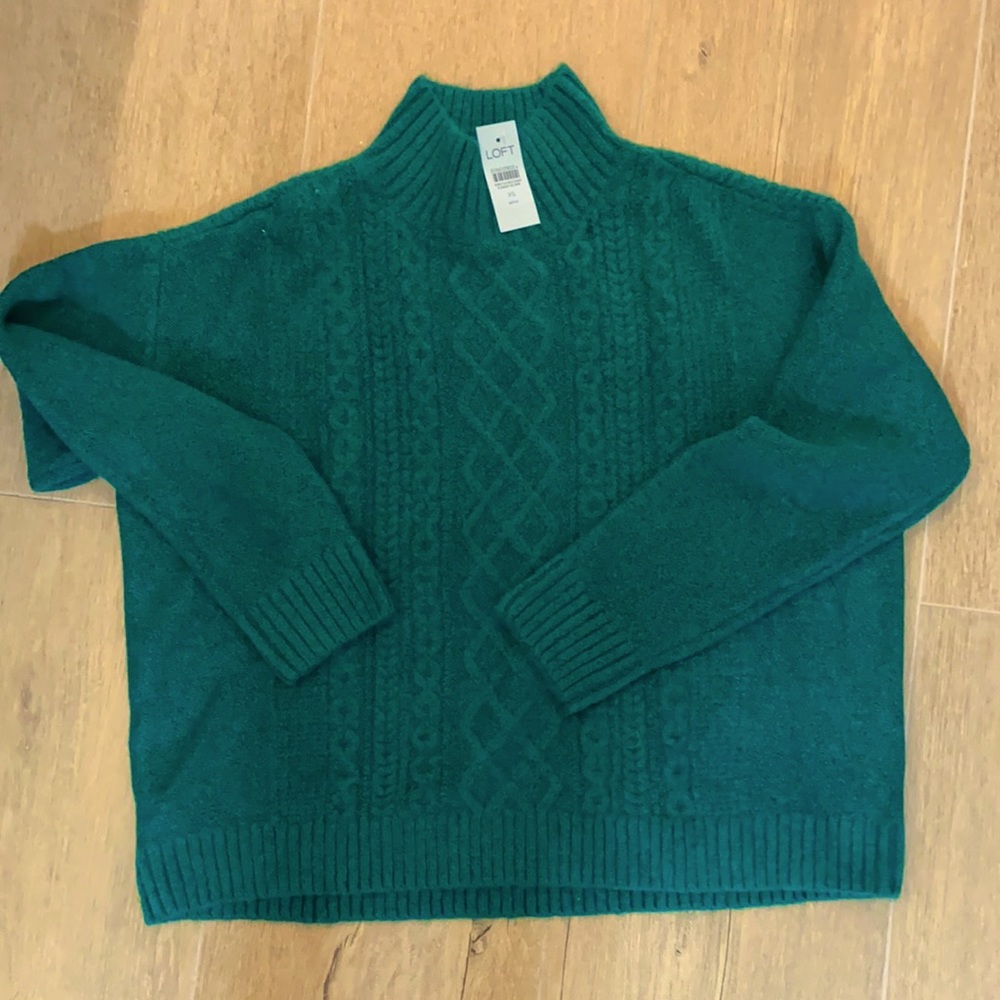 Ann Taylor Loft Turtle Neck Sweater (Brand New)!